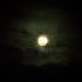 Gary Moon Photo 32