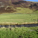 Glen Field Photo 12