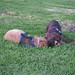 Heather Beasley Photo 15