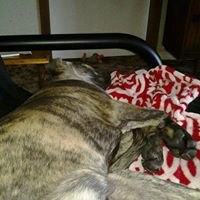 Vicki Crow Photo 34