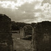 Richard Hawes Photo 41