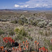 Eric Pinon Photo 22
