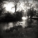 Laura Curtiss Photo 21