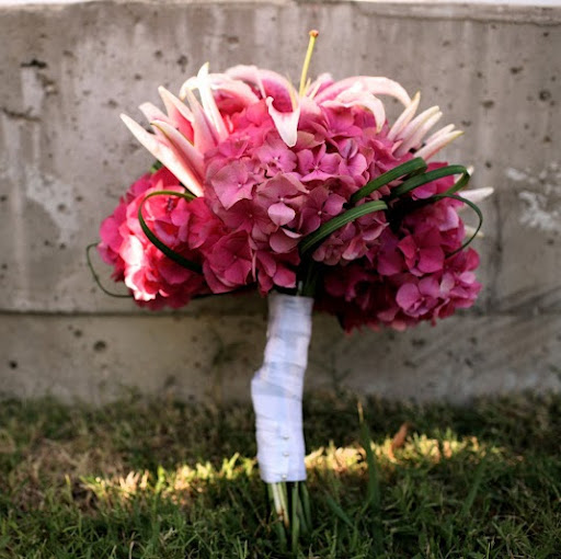 Elizabeth Harrell Photo 11
