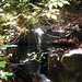 Donald Creek Photo 11