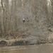 Bruce Wylie Photo 15