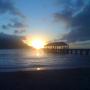 Cameron Rowe Photo 28