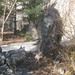Ian Wolf Photo 12
