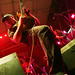 Andrea Mendoza Photo 15