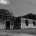 Roberto Aguirre Photo 33