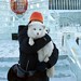 China Fox Photo 7