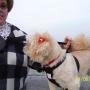 Janice Meyer Photo 34