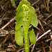 Donald Timms Photo 21