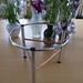 Cheryl Plumb Photo 12