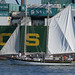 Richard Robbins Photo 16