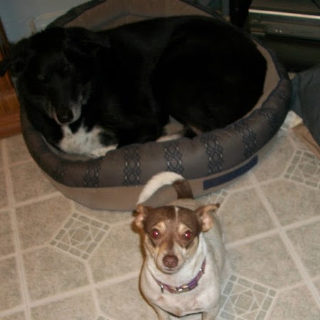 Donna Barfield Photo 30
