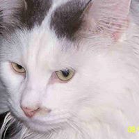 Patricia Wilmoth Photo 8