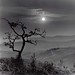 Victor Andrade Photo 35