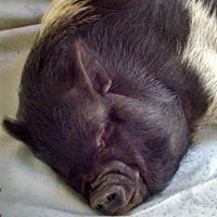 Jenny Rich Photo 28