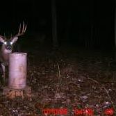 Joseph Wilkinson Photo 21