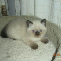 Janet Roy Photo 13