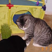 Anna Parson Photo 10