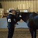 Zeb English Photo 4