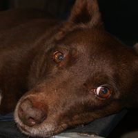 Ruby Bruce Photo 7