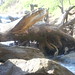 Cristy Rivers Photo 7
