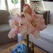 Brenda Stuart Photo 16