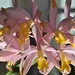 Margie Bell Photo 21