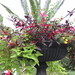 Susan Reimer Photo 17