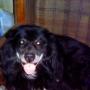 Laurie Sanborn Photo 16
