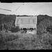 James Hutt Photo 17