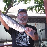 John Mcduffie Photo 15