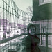 Pamela Murphy Photo 22
