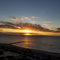 Dianne Burton Photo 12