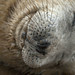 Donna Faulkner Photo 9