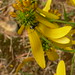 James Bemis Photo 15