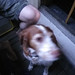 Bonnie Barney Photo 6