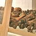 Tonia Walls Photo 12