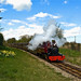 Timothy Cross Photo 43