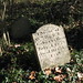 Robert Arrington Photo 10