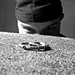 Eric Fiorentino Photo 6