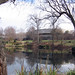 Sharon Brooks Photo 41