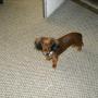 Wayne Key Photo 22
