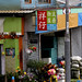 Anne Lam Photo 26
