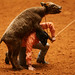 Roger Slack Photo 14