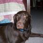 Jeanne Morton Photo 36