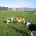 Calvin Franks Photo 11